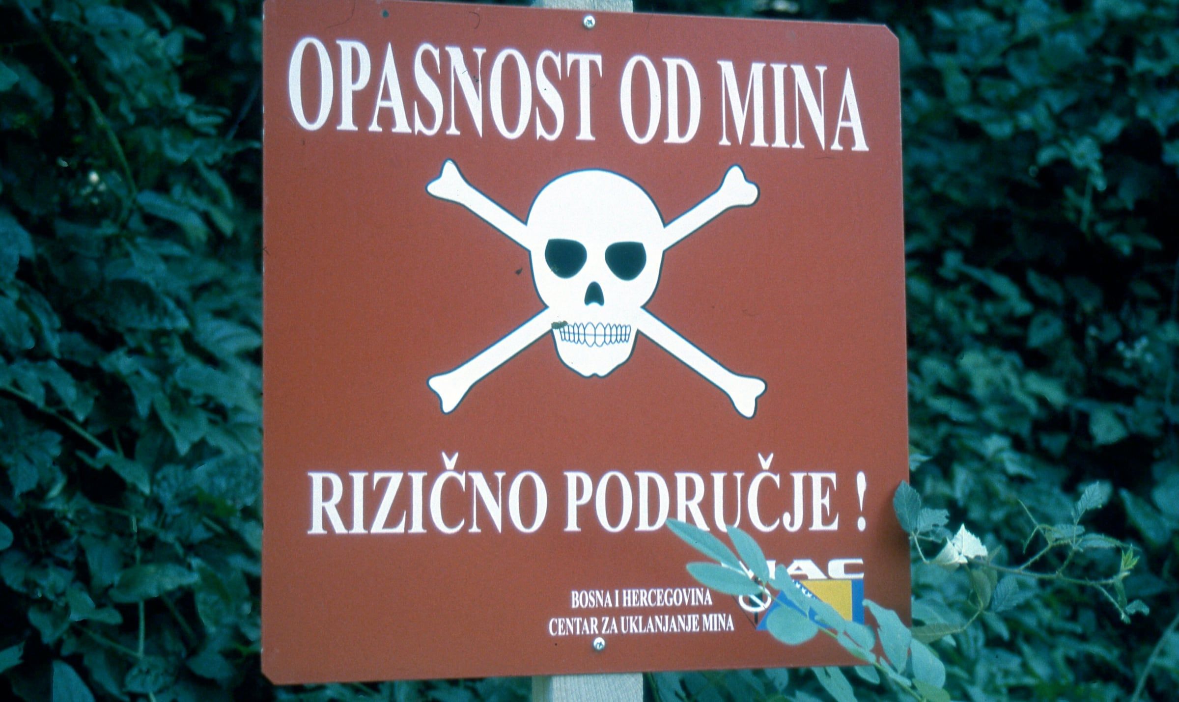 A red mine warning sign reading 'Opasnost od mina' (danger from mines) among leaves in Bosnia and Herzegovina.